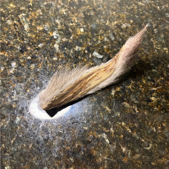 Three vintage 1950s fur pieces - Picture 7 of 7